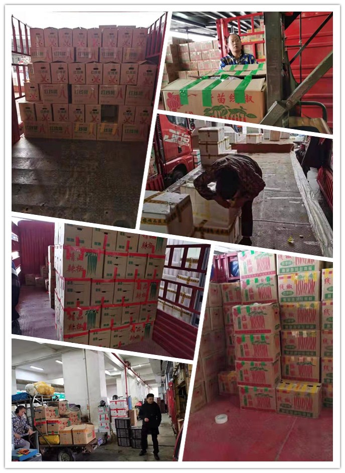 888集团电子游戏(中国游)有限公司官网