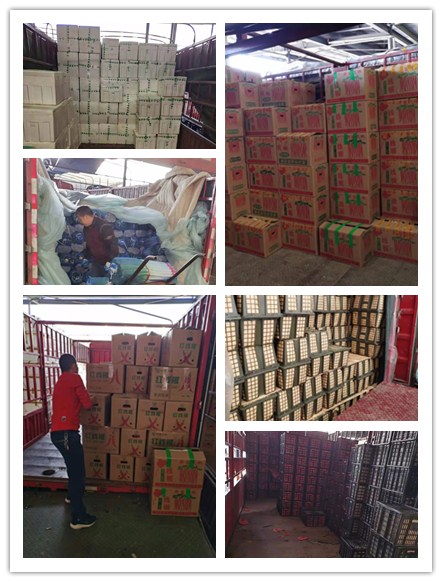 888集团电子游戏(中国游)有限公司官网