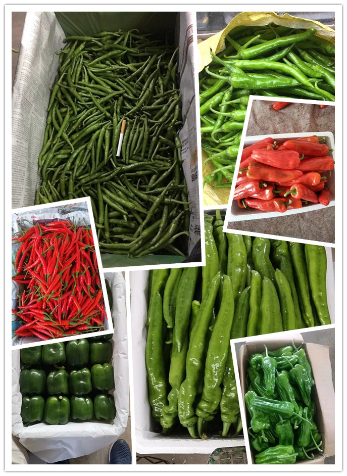 888集团电子游戏(中国游)有限公司官网