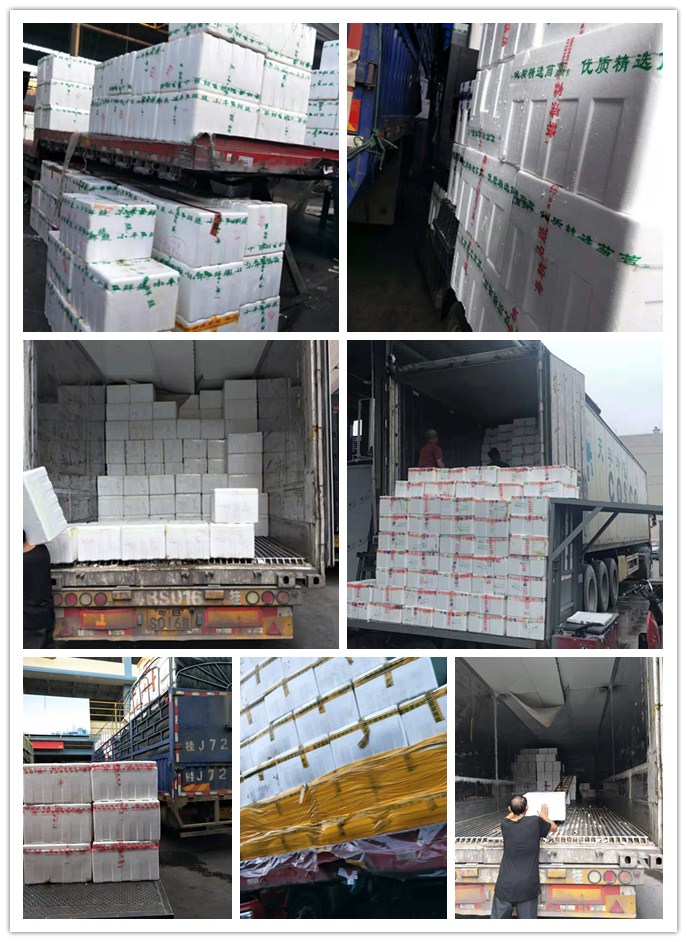 888集团电子游戏(中国游)有限公司官网