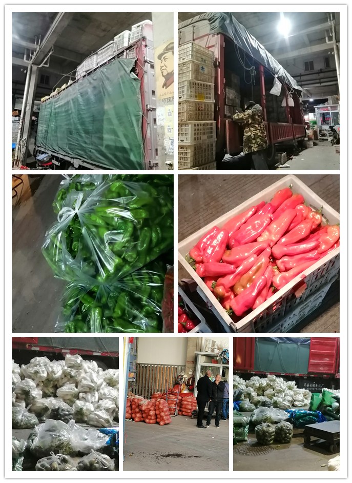 888集团电子游戏(中国游)有限公司官网