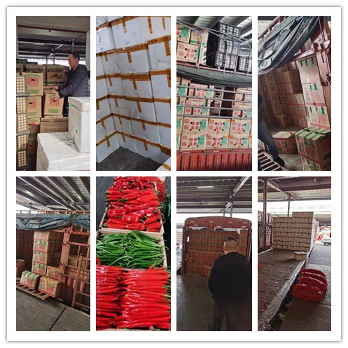 888集团电子游戏(中国游)有限公司官网