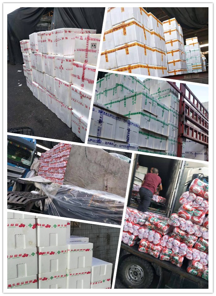 888集团电子游戏(中国游)有限公司官网