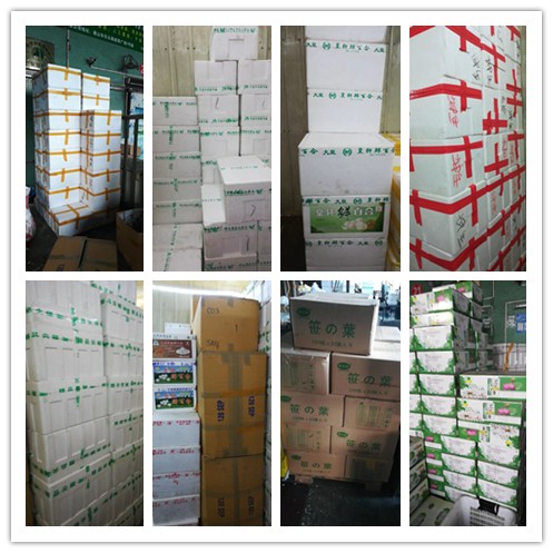 888集团电子游戏(中国游)有限公司官网