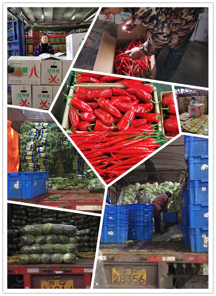 888集团电子游戏(中国游)有限公司官网