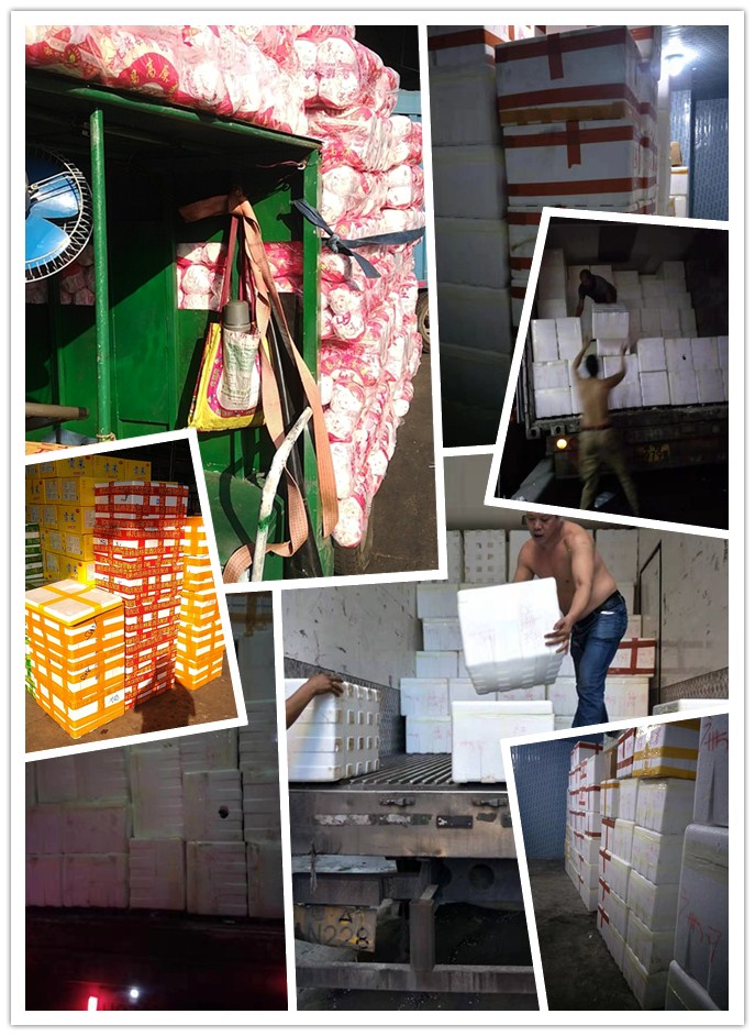 888集团电子游戏(中国游)有限公司官网