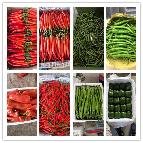 888集团电子游戏(中国游)有限公司官网