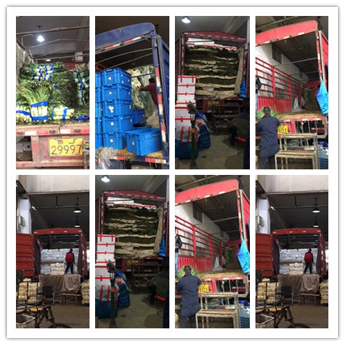 888集团电子游戏(中国游)有限公司官网