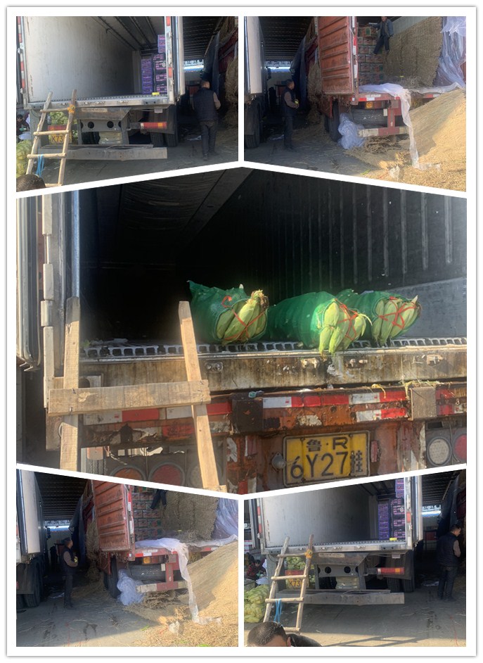 888集团电子游戏(中国游)有限公司官网