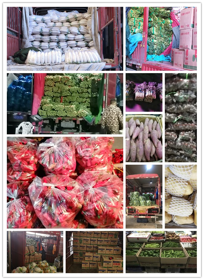 888集团电子游戏(中国游)有限公司官网