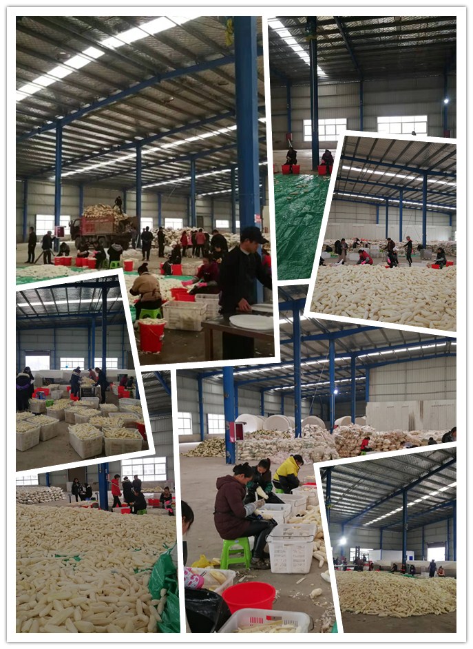 888集团电子游戏(中国游)有限公司官网