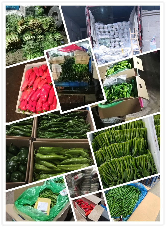 888集团电子游戏(中国游)有限公司官网