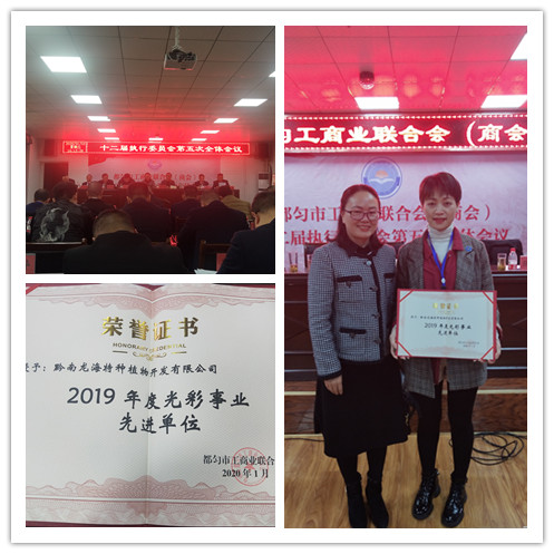 888集团电子游戏(中国游)有限公司官网