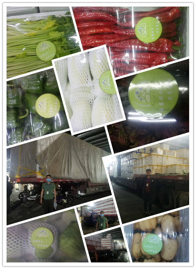 888集团电子游戏(中国游)有限公司官网