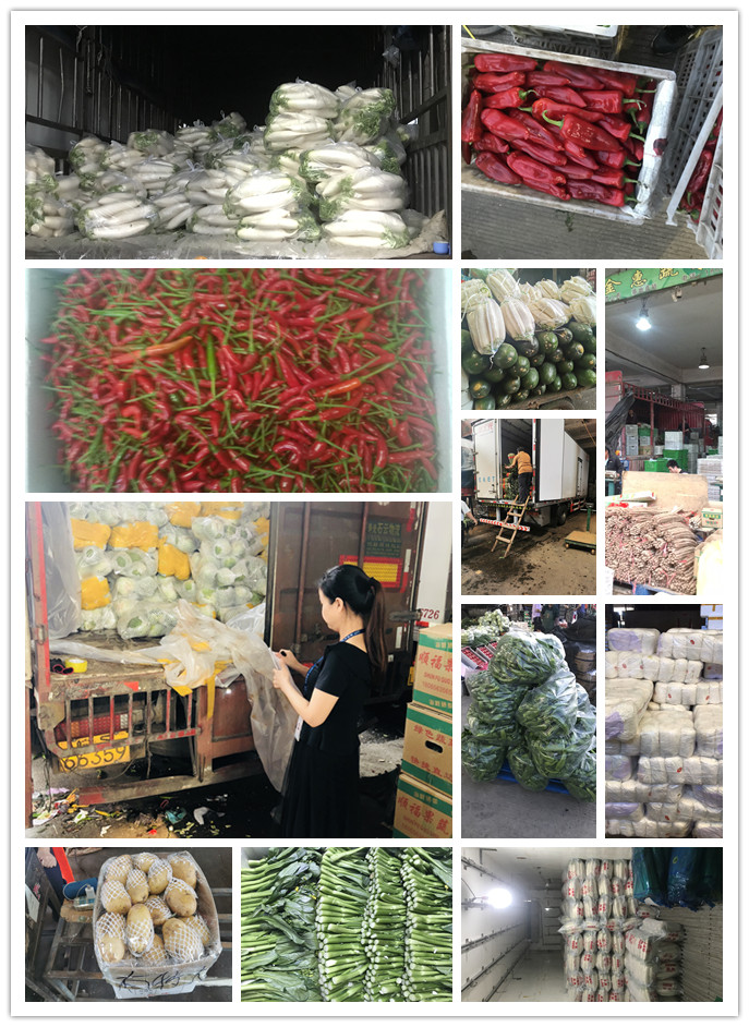 888集团电子游戏(中国游)有限公司官网