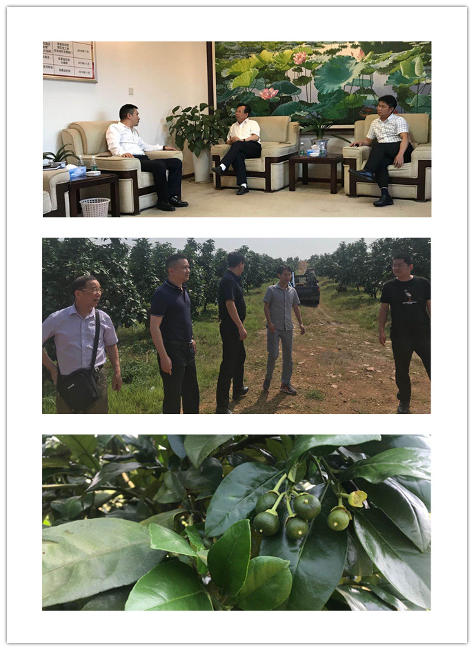 888集团电子游戏(中国游)有限公司官网