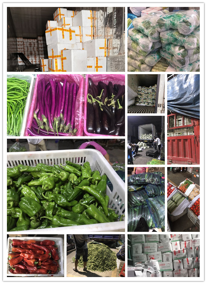 888集团电子游戏(中国游)有限公司官网