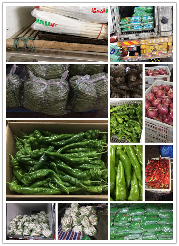 888集团电子游戏(中国游)有限公司官网