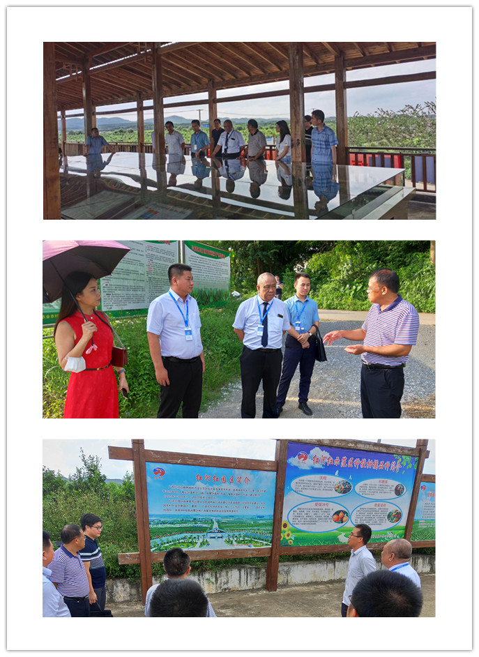 888集团电子游戏(中国游)有限公司官网