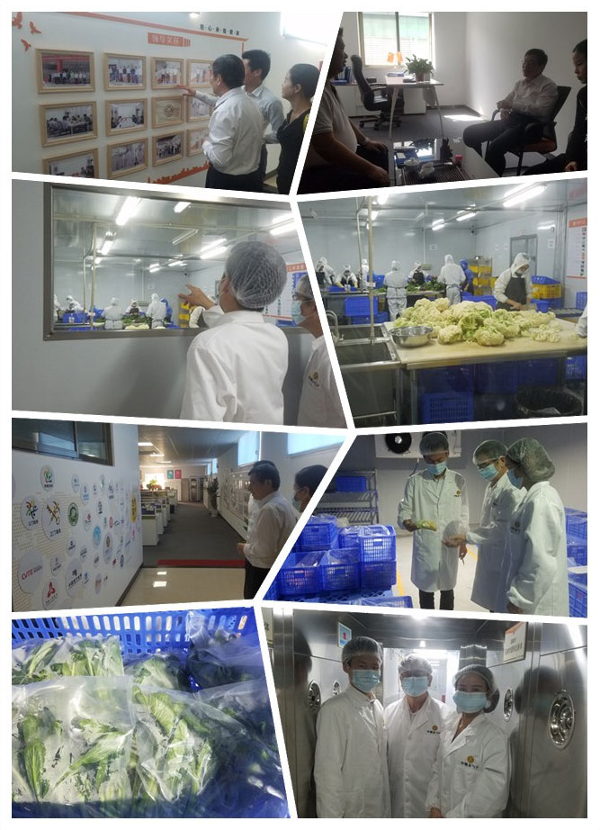 888集团电子游戏(中国游)有限公司官网