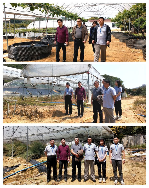 888集团电子游戏(中国游)有限公司官网