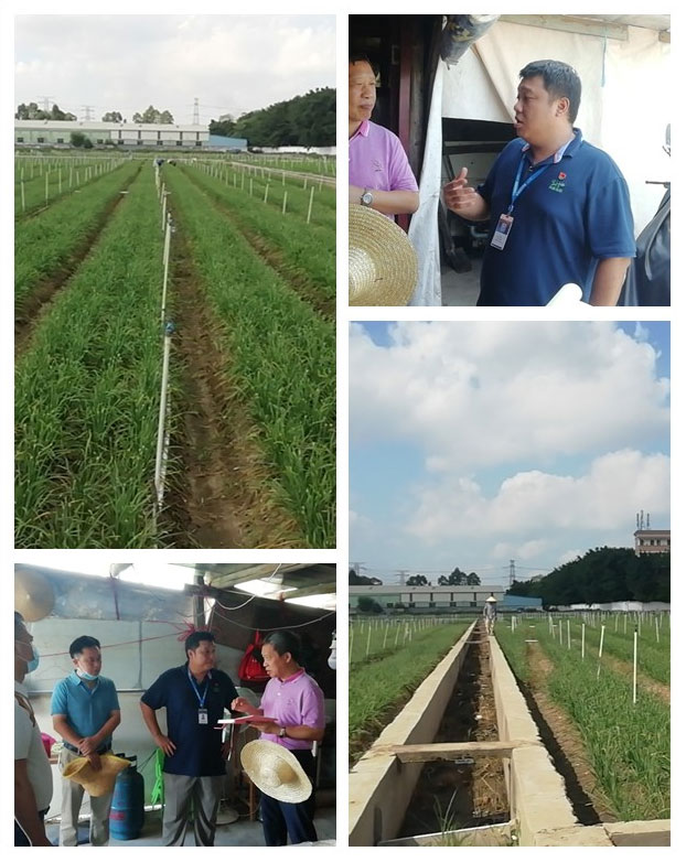 888集团电子游戏(中国游)有限公司官网