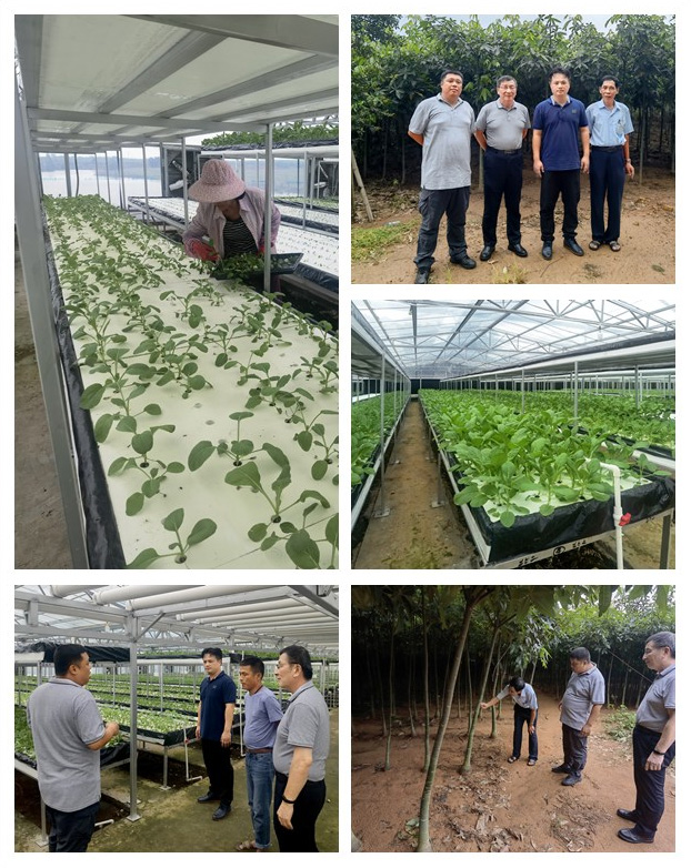 888集团电子游戏(中国游)有限公司官网