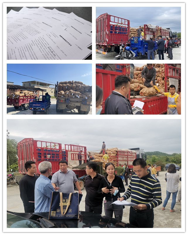 888集团电子游戏(中国游)有限公司官网