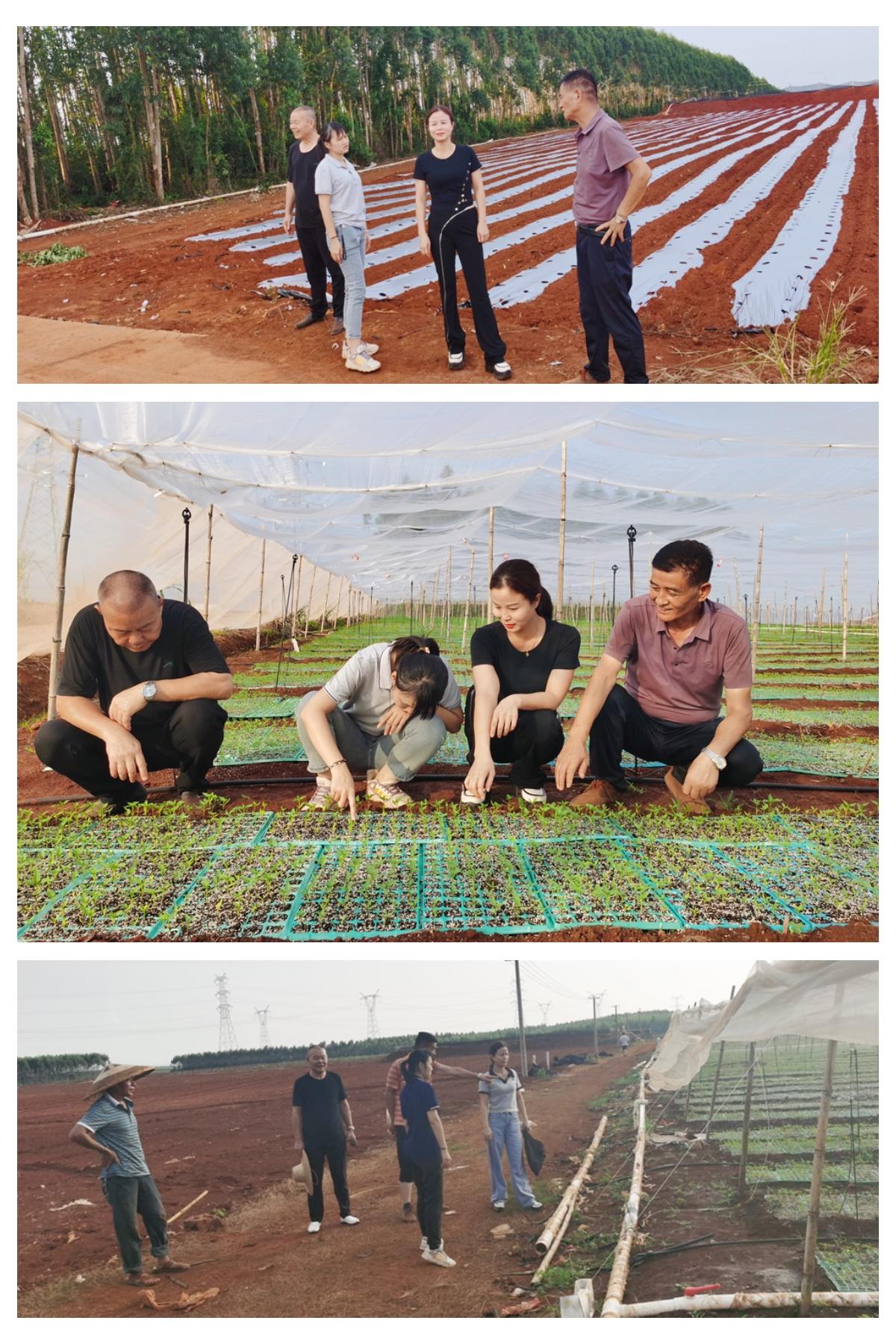 888集团电子游戏(中国游)有限公司官网