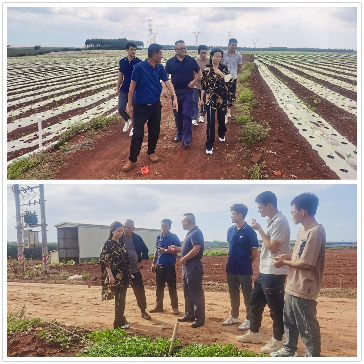 888集团电子游戏(中国游)有限公司官网