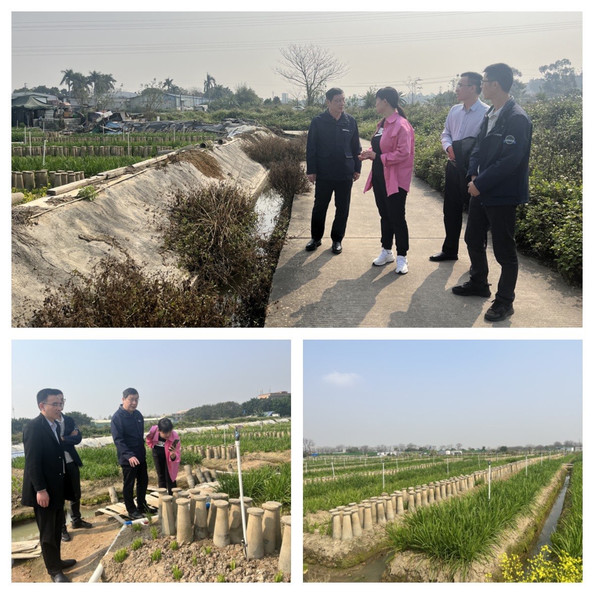 888集团电子游戏(中国游)有限公司官网