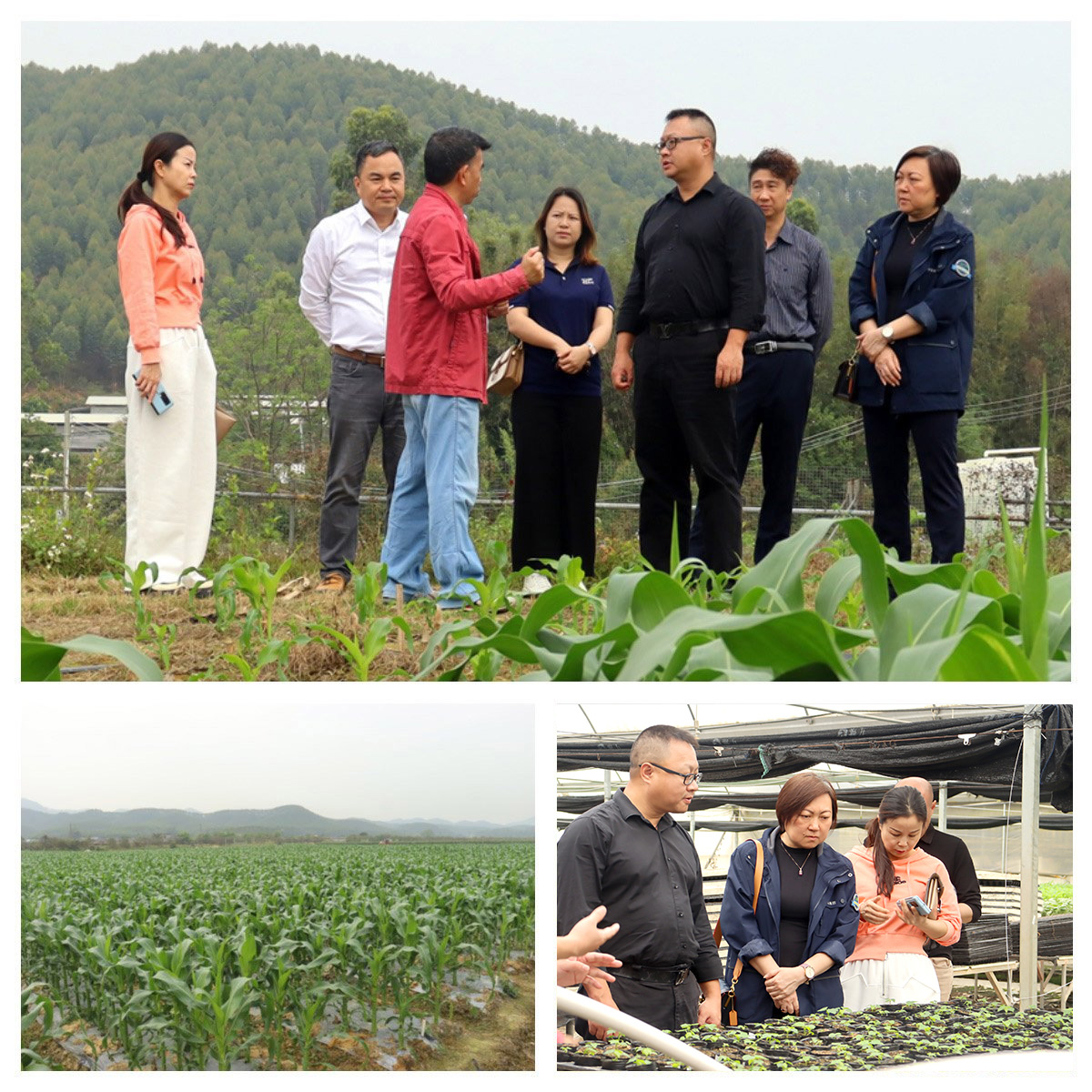 888集团电子游戏(中国游)有限公司官网