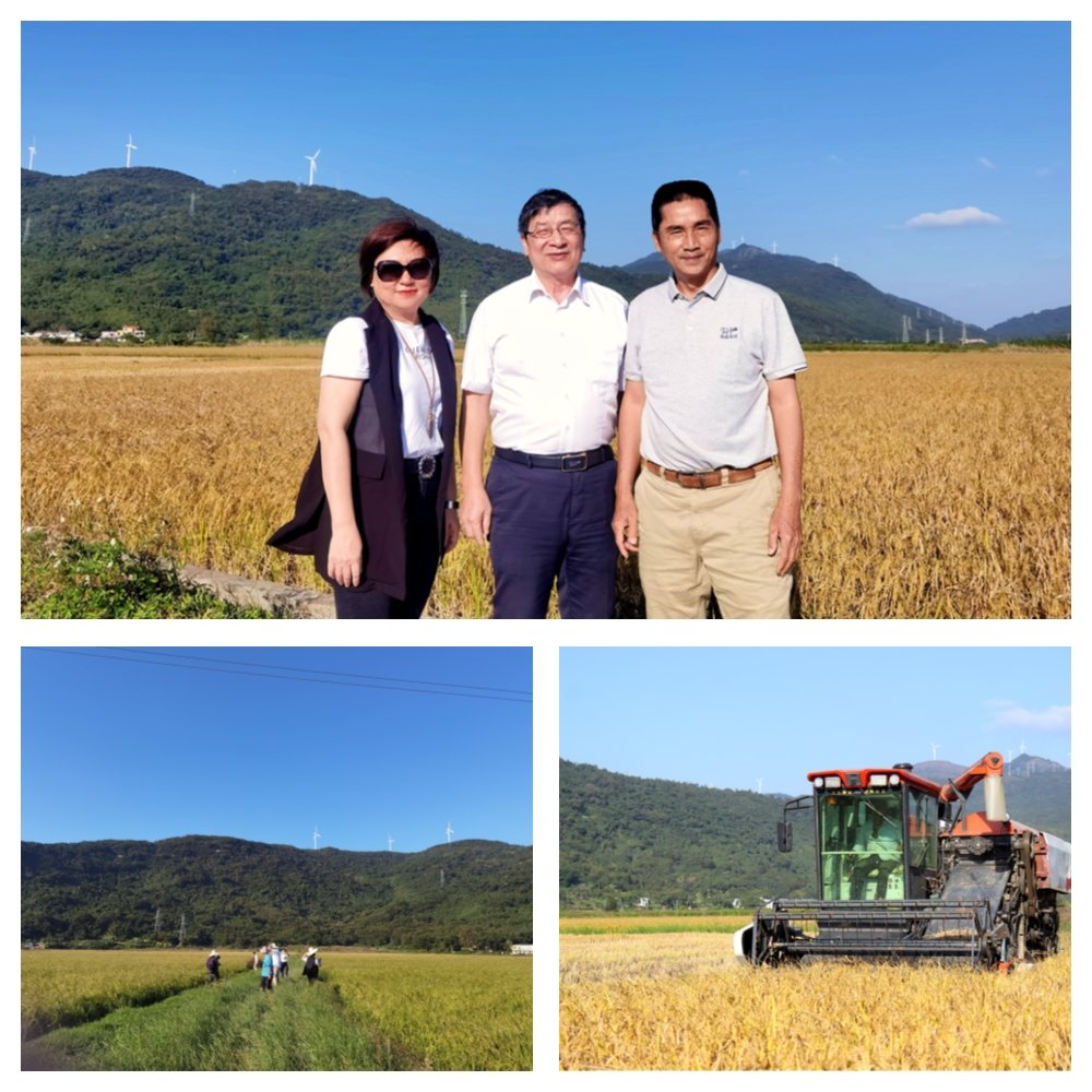 888集团电子游戏(中国游)有限公司官网