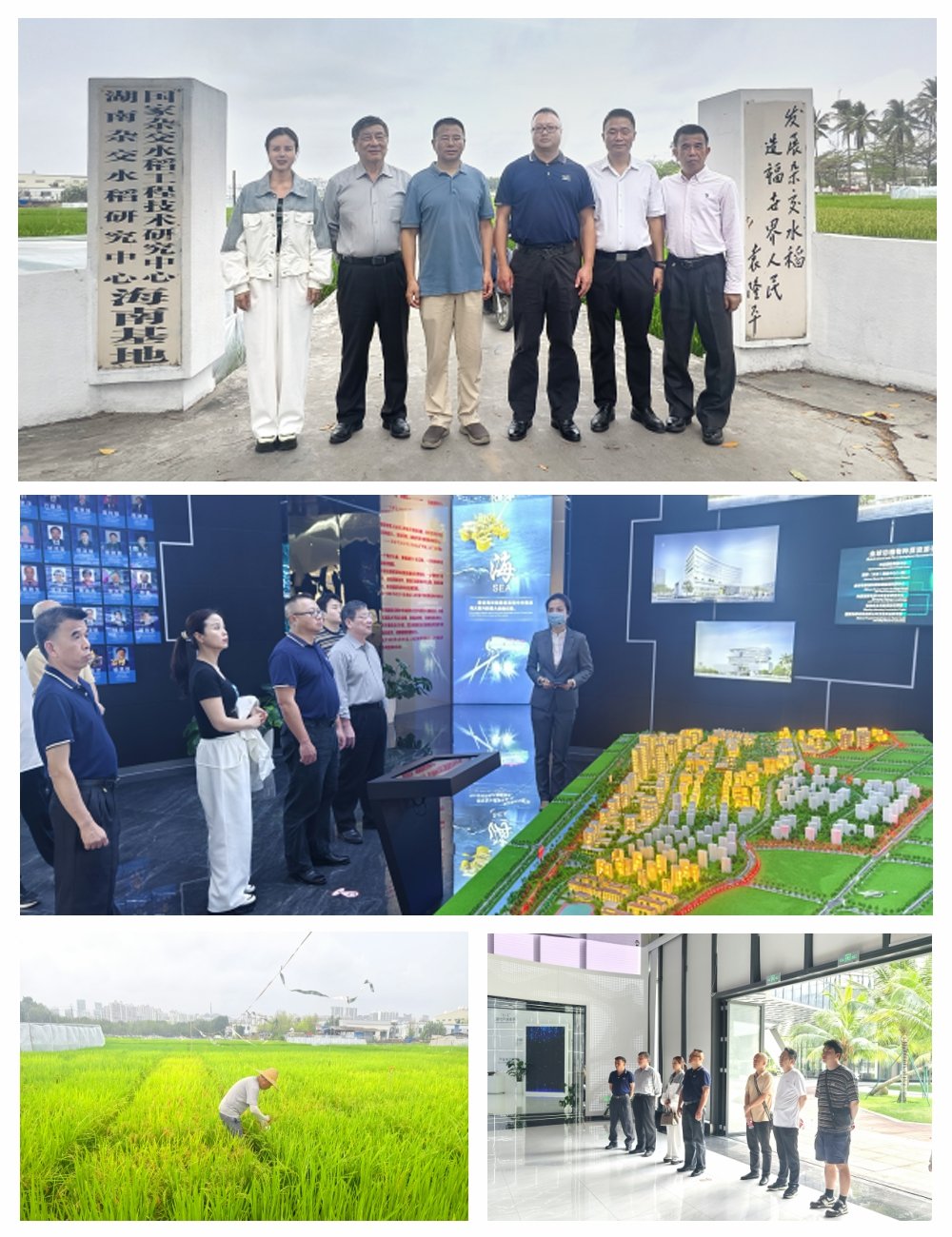 888集团电子游戏(中国游)有限公司官网