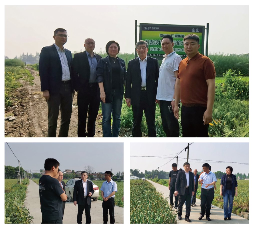 888集团电子游戏(中国游)有限公司官网