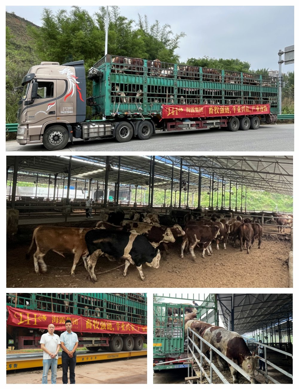 888集团电子游戏(中国游)有限公司官网